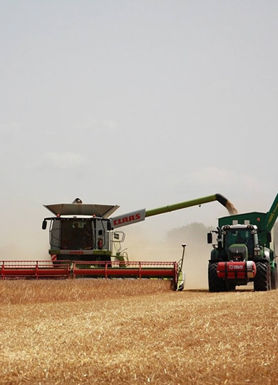 Agro