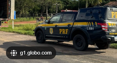 171 kg de skunk são retirados de circulação em operação na divisa entre RO e AM