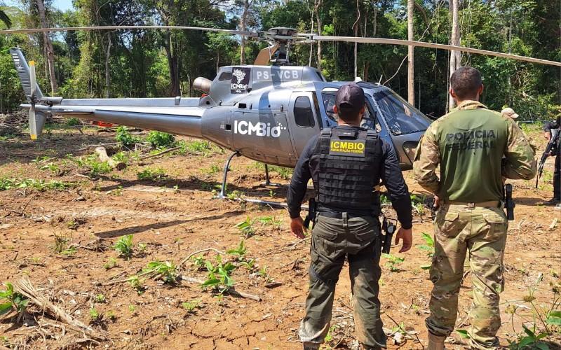 PF e ICMBio intensificam combate a crimes ambientais no Parque Mapinguari