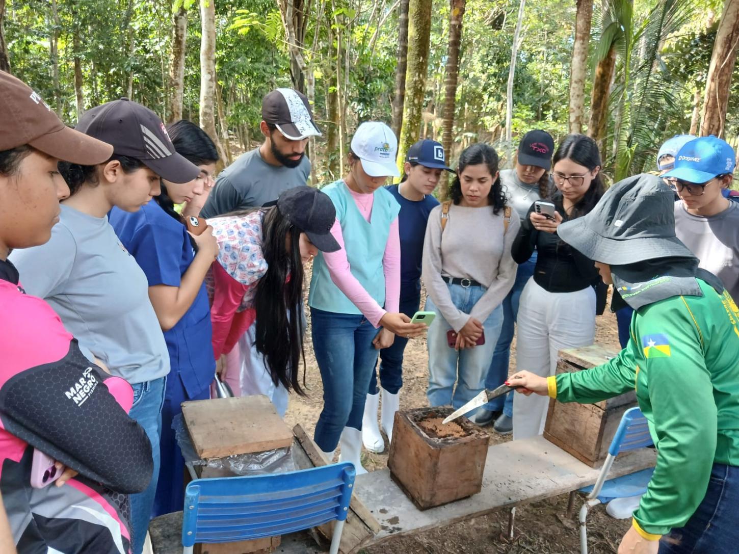 Visita técnica aproxima acadêmicos da prática da apicultura e meliponicultura em propriedades rurais
